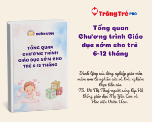 Tổng quan chương trình Giáo dục sớm cho trẻ 6-12 tháng