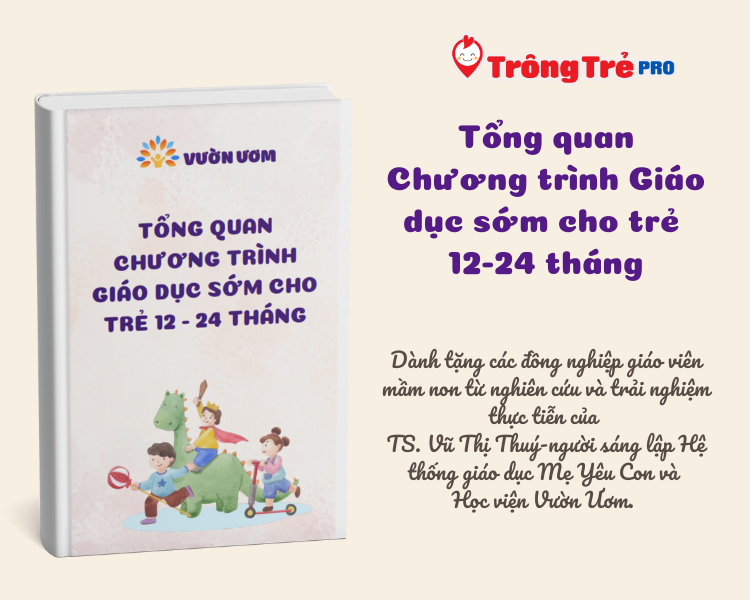 Tổng quan chương trình Giáo dục sớm cho trẻ 12-24 tháng
